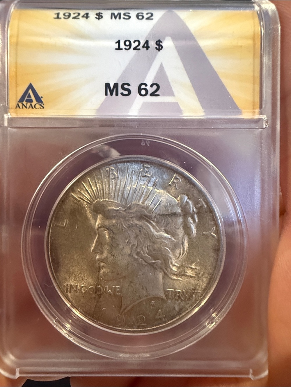 ANACS 1924 Peace Silver Dollar MS62 - Certified Coin in Gray Tone